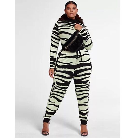 Fashion To Figure Tara Zebra Print Two Piece Pants Set Sz 2X - Picture 2 of 15